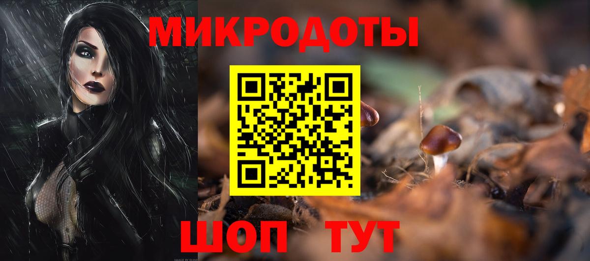 Галлюциногенные грибы Psilocybe  Вход с VPN  Реж 