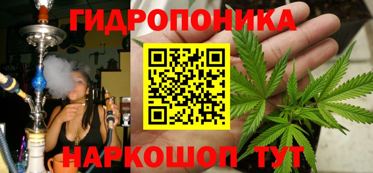 Шишки марихуана план  Каннабис THC 21%  Бошки марихуана AK-47  Вход с VPN  Реж 